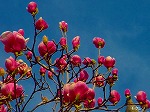 20070309 02.jpg